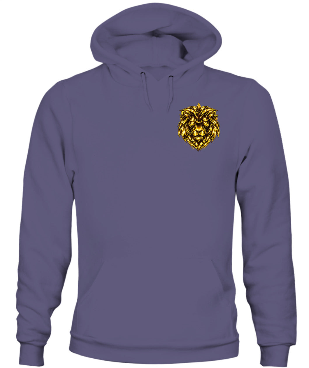 King of kings Hoodie