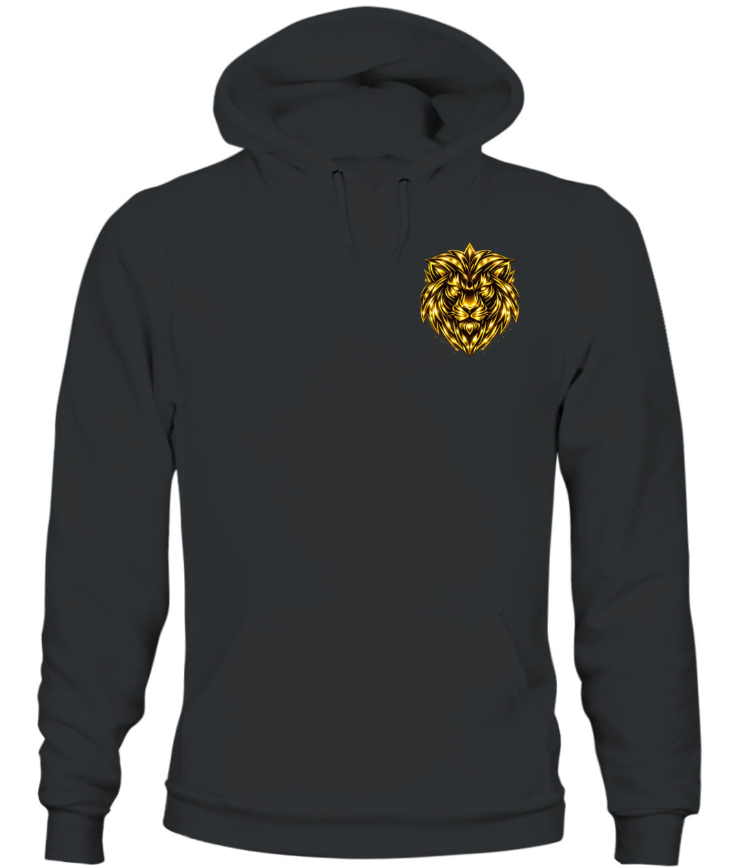 King of kings Hoodie